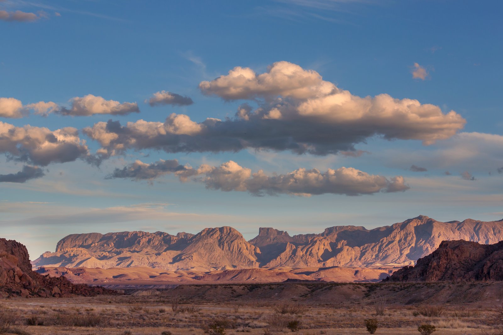 Texas landscape